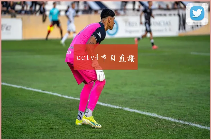 cctv4节目直播