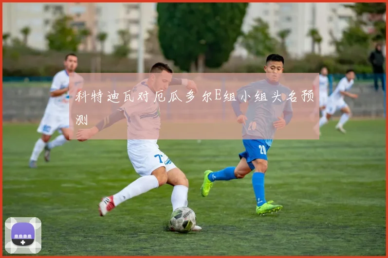 科特迪瓦对厄瓜多尔E组小组头名预测