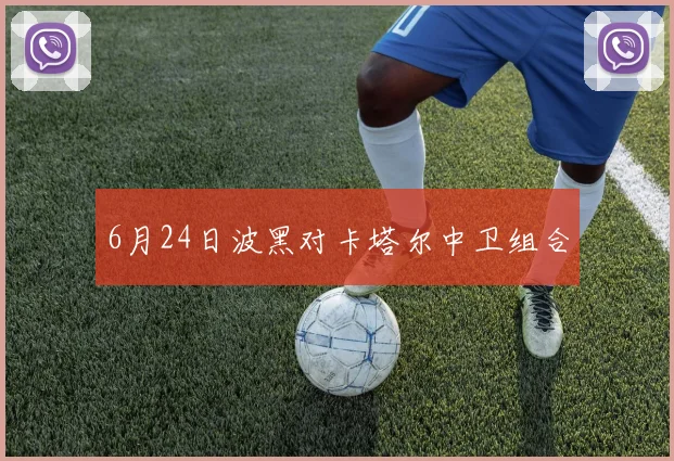 6月24日波黑对卡塔尔中卫组合