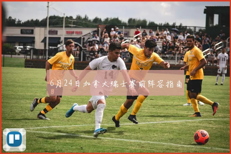 6月24日加拿大瑞士赛前阵容指南